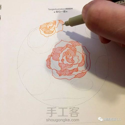 禅圆  彩色禅绕插画《暖冬如花》 第5步