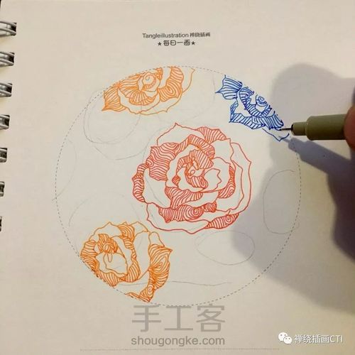 禅圆  彩色禅绕插画《暖冬如花》 第6步