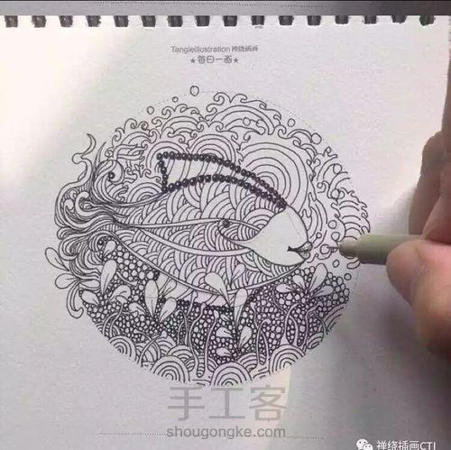 禅绕插画之禅圆胖鱼 第8步