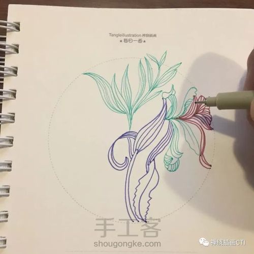 禅圆  彩色线条禅绕插画1幅《素锦球》 第3步