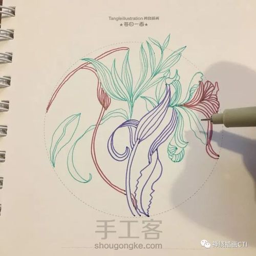 禅圆  彩色线条禅绕插画1幅《素锦球》 第4步