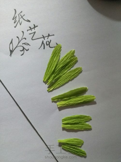 皱纹纸制作豌豆花教程 第10步