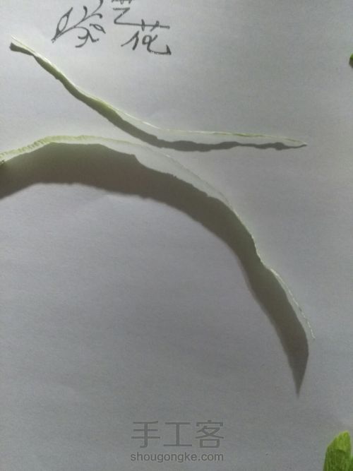 皱纹纸制作豌豆花教程 第12步