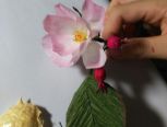 蔷薇花教程（果实）