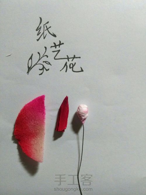 蔷薇花教程（果实） 第4步