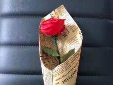 开始发第一版皱纹花，就做玫瑰吧，然后用英文报纸包上，非常好看哟。摆在哪里都是一道美丽的风景。🌹