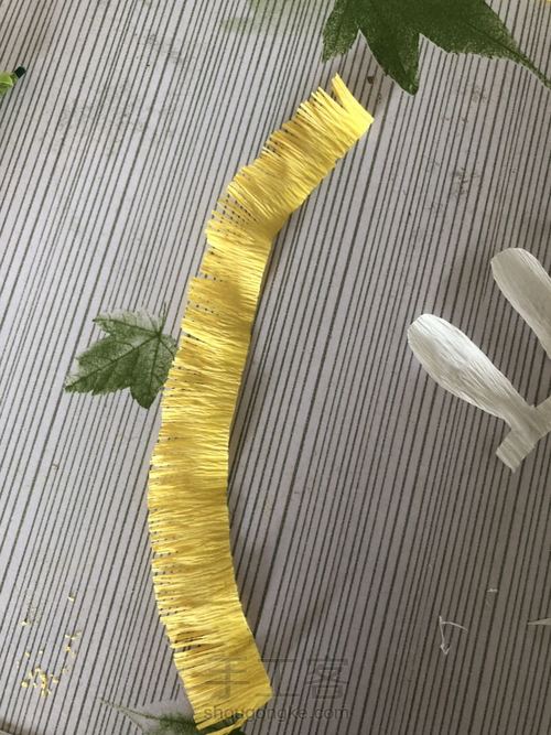 皱纹纸小雏菊，圣洁的爱 第4步