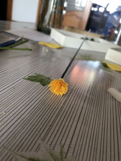 皱纹纸小雏菊，圣洁的爱 第5步