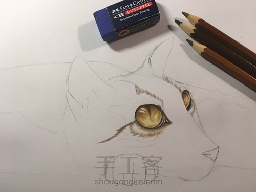 彩铅手绘猫咪 第2步