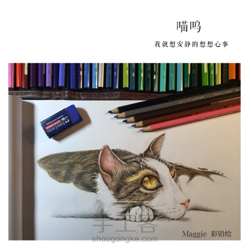 彩铅手绘猫咪 第6步