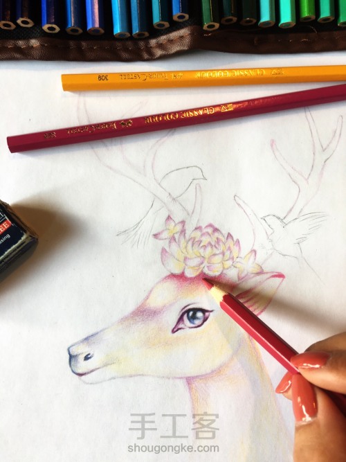 彩铅绘灵鹿🦌 第4步
