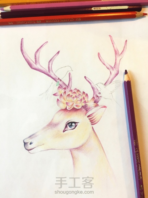彩铅绘灵鹿🦌 第9步