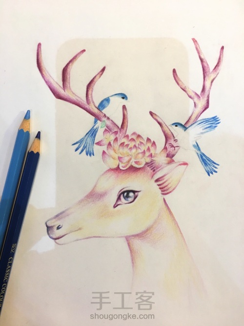 彩铅绘灵鹿🦌 第13步