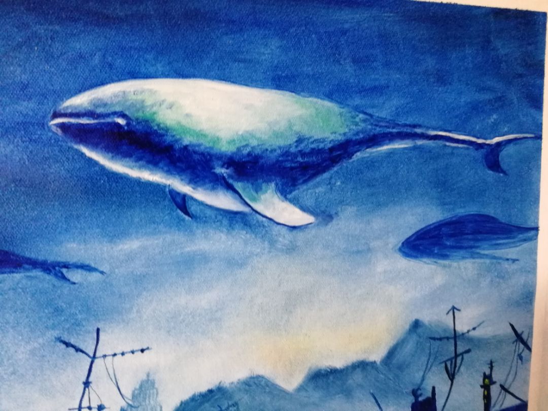 一小时画鲸鱼🐳