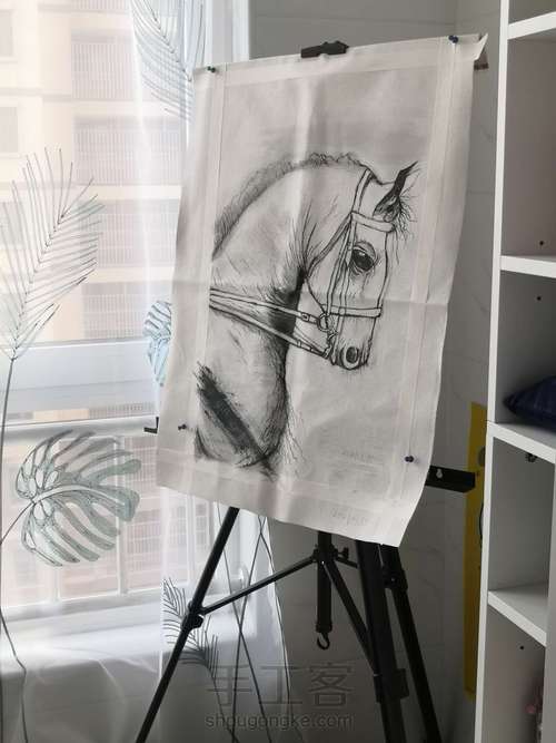 丙烯油画黑白马简单易学 第2步