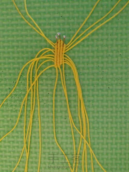 莲花花瓣 第6步