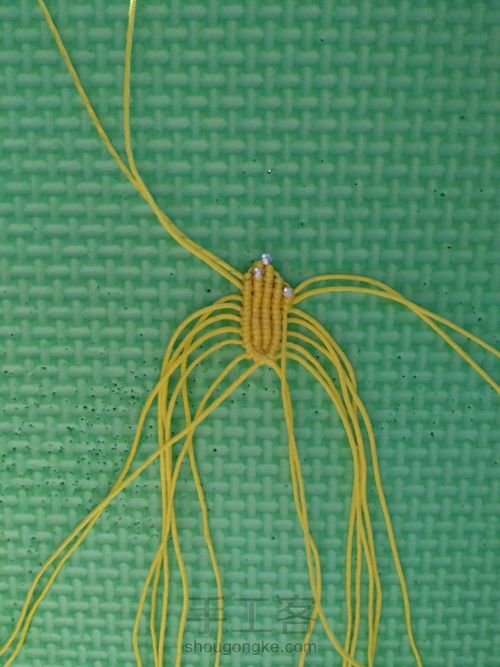 莲花花瓣 第8步