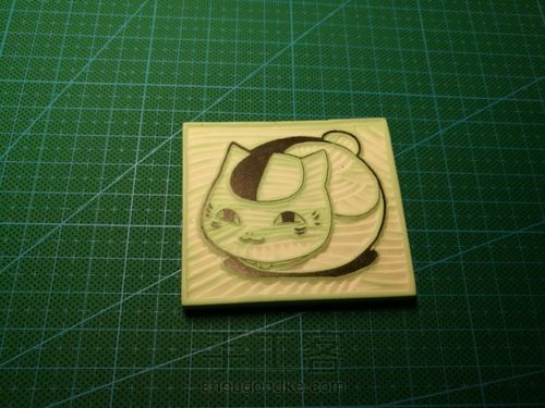 猫咪老师“斑” 第5步