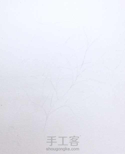 入门小花卉—写意花卉 第1步