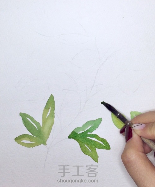 入门小花卉—写意花卉 第2步