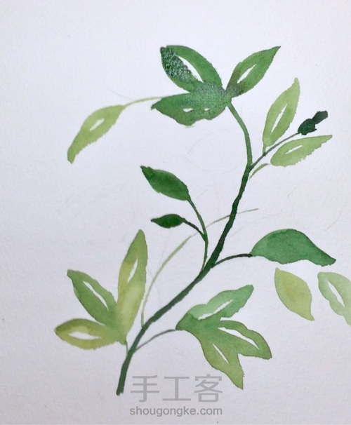 入门小花卉—写意花卉 第3步