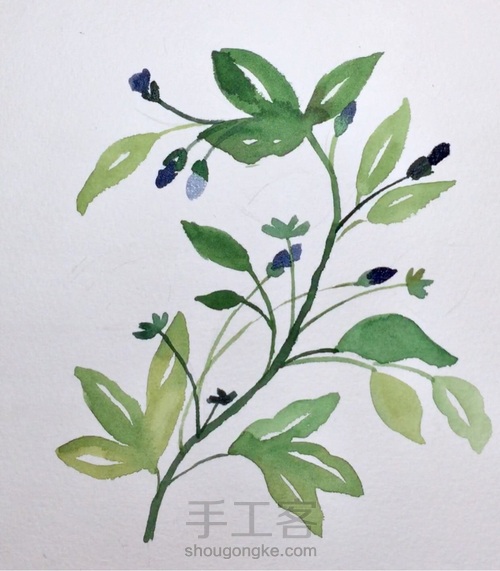 入门小花卉—写意花卉 第6步