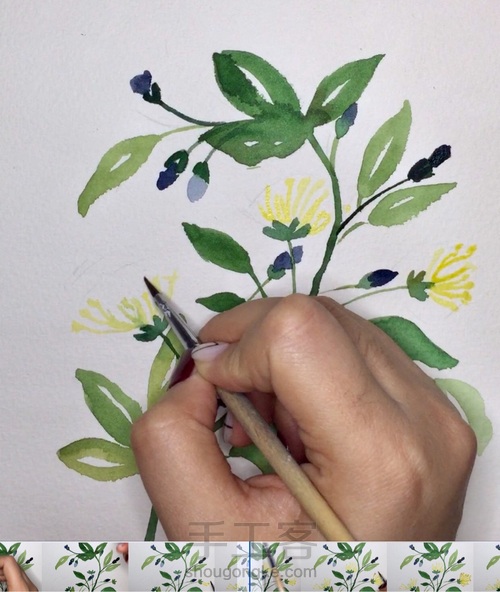 入门小花卉—写意花卉 第7步