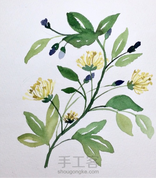 入门小花卉—写意花卉 第8步