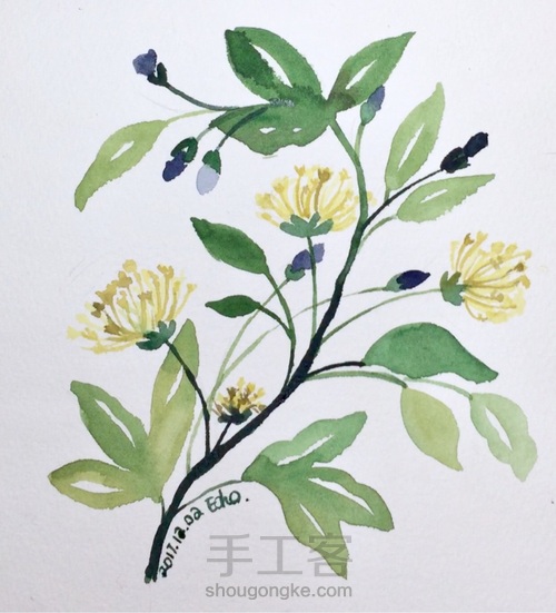 入门小花卉—写意花卉 第9步
