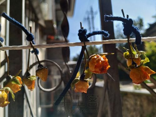 独一无二的干花耳环 第1步