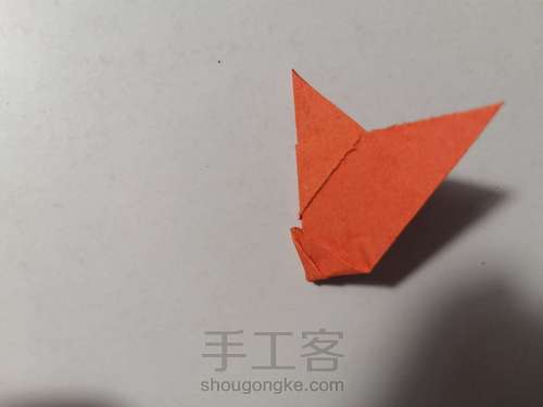 花 第10步