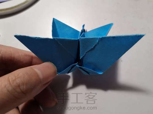 花 第12步