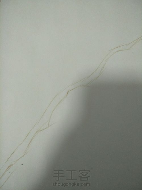 水溶彩铅画（花朵） 第1步