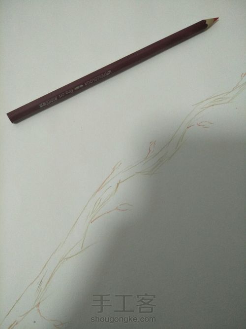 水溶彩铅画(花朵) 第2步