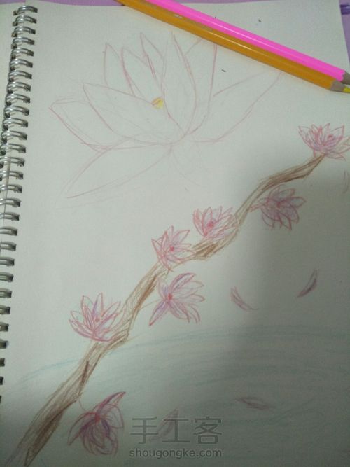 水溶彩铅画(花朵) 第5步