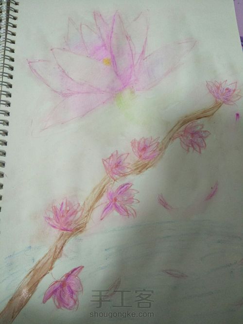 水溶彩铅画(花朵) 第8步