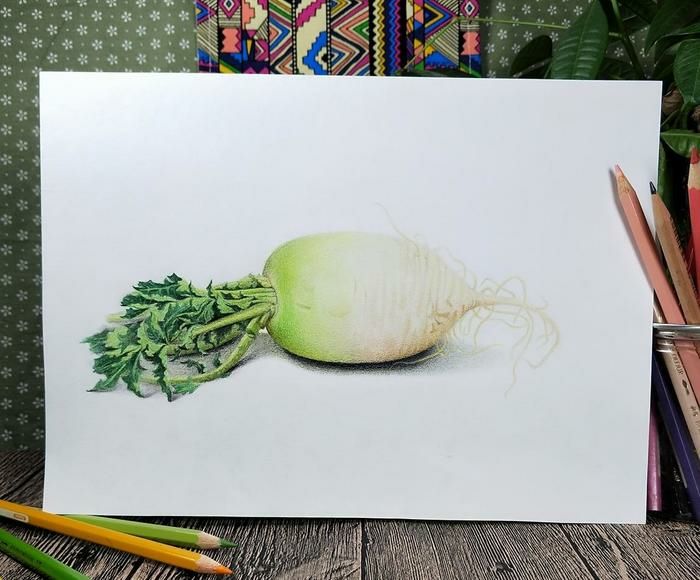 思考:如何去画萝卜叶？如何表现出萝卜皮的质感？