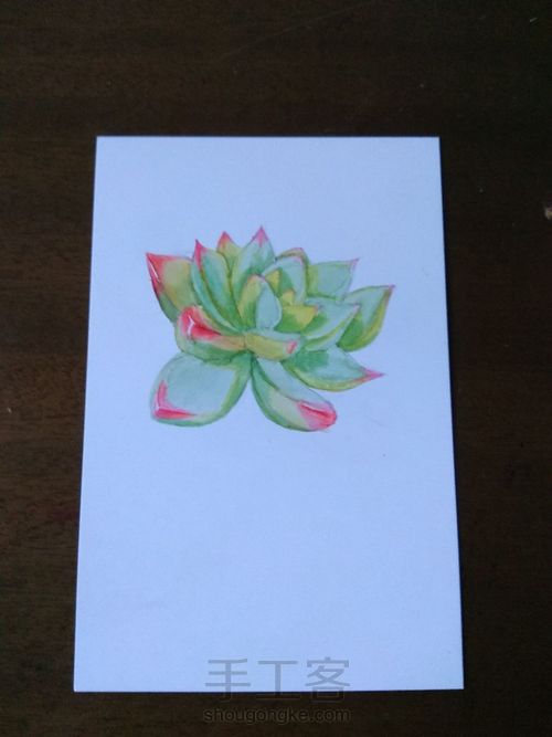 【手绘】白卡明信片系列～多肉（一） 第5步