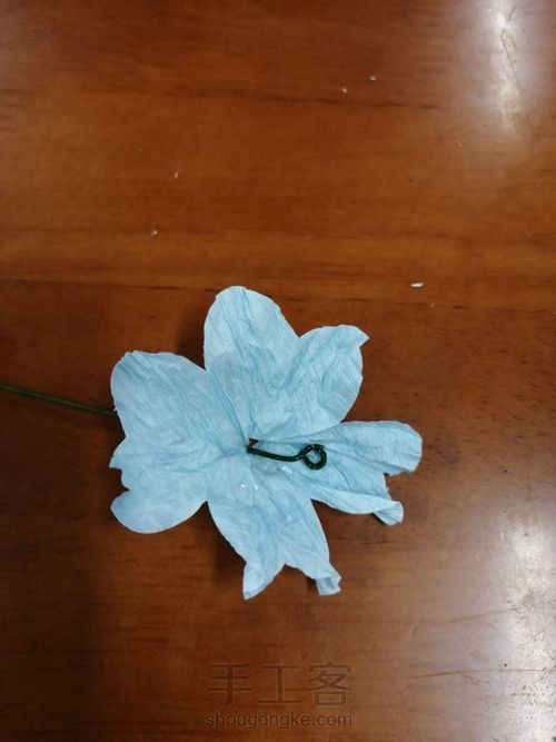 皱纹纸花（单花篇） 第12步