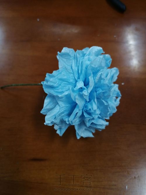 皱纹纸花单花篇