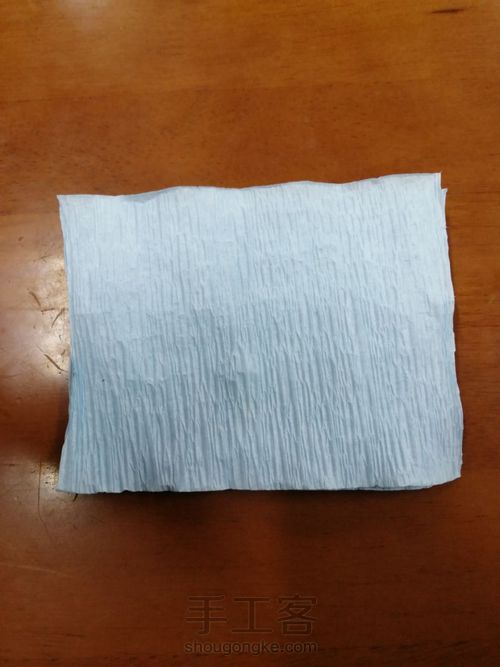 皱纹纸花（单花篇） 第3步