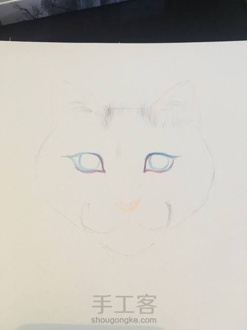 不知道是黄猫还是白猫 算白猫脏了吧 第2步