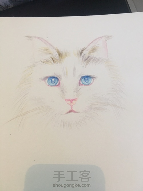 不知道是黄猫还是白猫 算白猫脏了吧 第3步