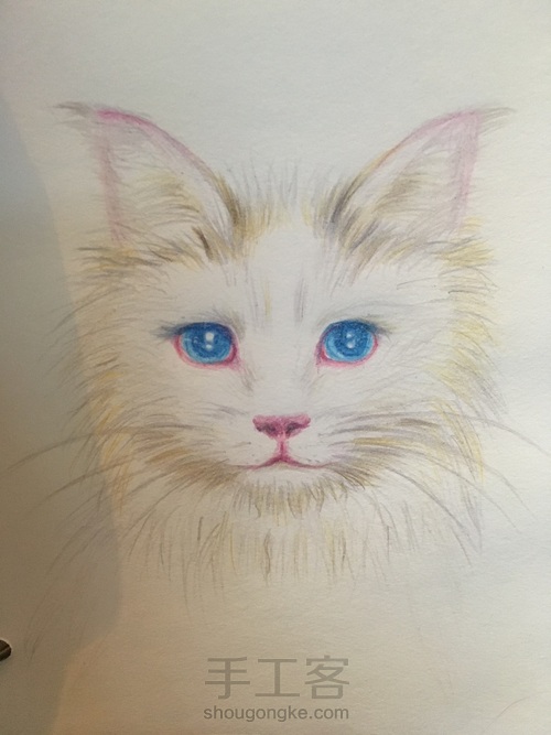 不知道是黄猫还是白猫 算白猫脏了吧 第4步