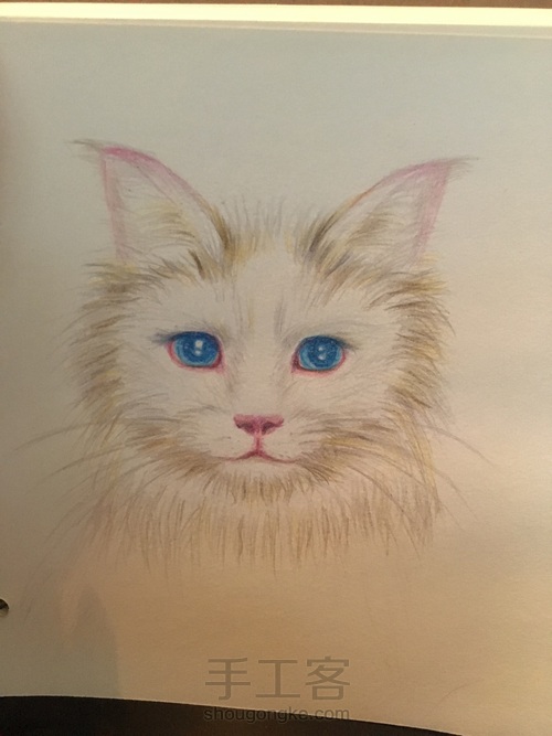 不知道是黄猫还是白猫 算白猫脏了吧 第6步