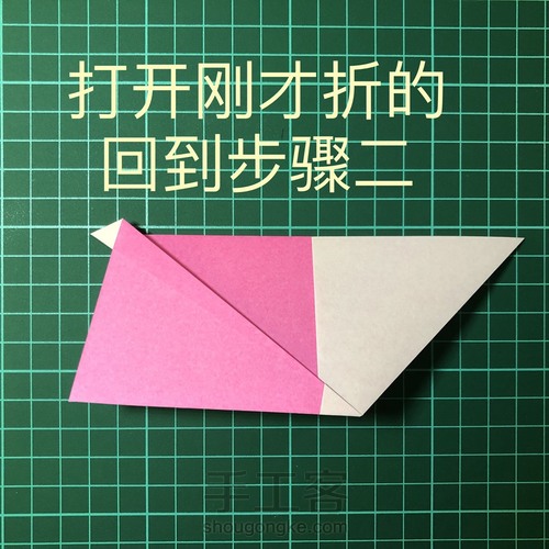 猪年第一只猪 第6步