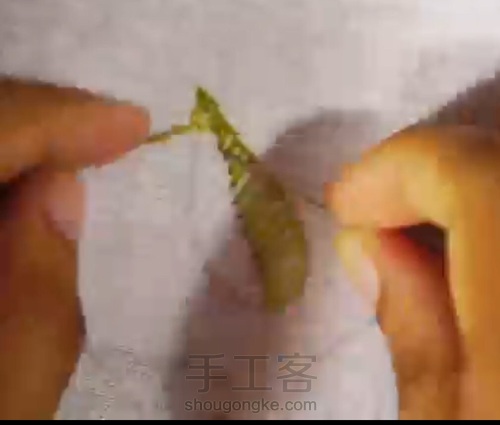 扣眼绣树叶 第5步