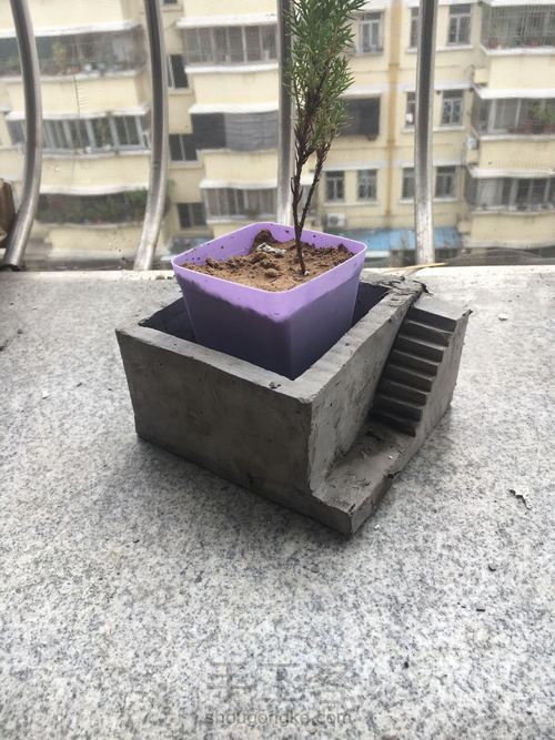 水泥台阶花盆 第8步