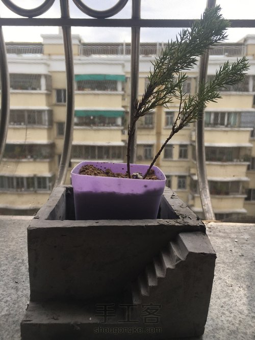 水泥台阶花盆 第9步