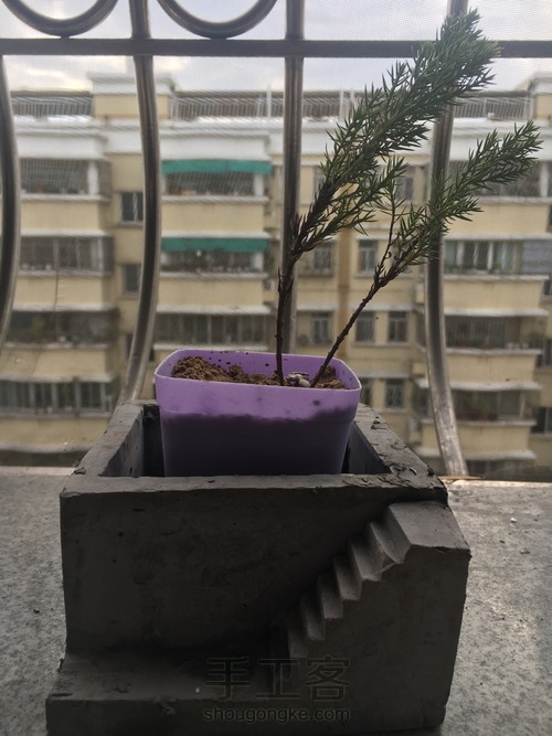 水泥台阶花盆 第10步